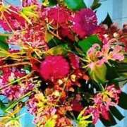 ヒメ日記 2025/03/04 21:39 投稿 石原　万美子 愛の雫～性格美人～