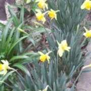 ヒメ日記 2025/03/17 21:59 投稿 石原　万美子 愛の雫～性格美人～