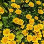 ヒメ日記 2025/03/22 12:49 投稿 石原　万美子 愛の雫～性格美人～