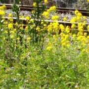 ヒメ日記 2025/03/25 21:49 投稿 石原　万美子 愛の雫～性格美人～