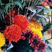 ヒメ日記 2025/04/08 21:49 投稿 石原　万美子 愛の雫～性格美人～