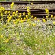 ヒメ日記 2025/04/12 12:49 投稿 石原　万美子 愛の雫～性格美人～