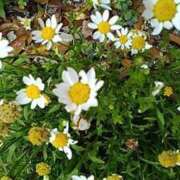 ヒメ日記 2025/05/02 21:59 投稿 石原　万美子 愛の雫～性格美人～