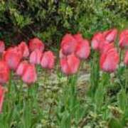 ヒメ日記 2025/05/10 13:09 投稿 石原　万美子 愛の雫～性格美人～