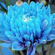 ヒメ日記 2025/05/14 21:49 投稿 石原　万美子 愛の雫～性格美人～