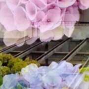 ヒメ日記 2025/05/16 21:59 投稿 石原　万美子 愛の雫～性格美人～