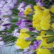 ヒメ日記 2025/06/11 21:59 投稿 石原　万美子 愛の雫～性格美人～