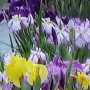 ヒメ日記 2025/06/18 21:39 投稿 石原　万美子 愛の雫～性格美人～