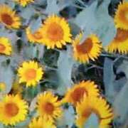 ヒメ日記 2025/07/16 21:39 投稿 石原　万美子 愛の雫～性格美人～