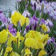 ヒメ日記 2025/07/18 21:49 投稿 石原　万美子 愛の雫～性格美人～