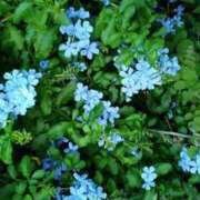 ヒメ日記 2025/07/26 12:59 投稿 石原　万美子 愛の雫～性格美人～