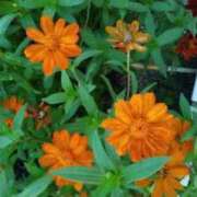 ヒメ日記 2025/09/06 12:49 投稿 石原　万美子 愛の雫～性格美人～