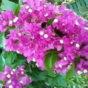 ヒメ日記 2025/09/09 21:59 投稿 石原　万美子 愛の雫～性格美人～