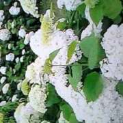 ヒメ日記 2025/09/12 21:39 投稿 石原　万美子 愛の雫～性格美人～