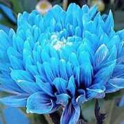 ヒメ日記 2025/10/25 12:49 投稿 石原　万美子 愛の雫～性格美人～