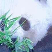 ヒメ日記 2026/01/30 21:59 投稿 石原　万美子 愛の雫～性格美人～