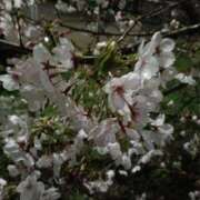 ヒメ日記 2026/04/01 21:59 投稿 石原　万美子 愛の雫～性格美人～