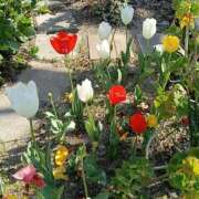 ヒメ日記 2026/04/08 21:39 投稿 石原　万美子 愛の雫～性格美人～