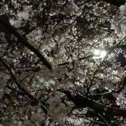 ヒメ日記 2026/04/14 21:59 投稿 石原　万美子 愛の雫～性格美人～