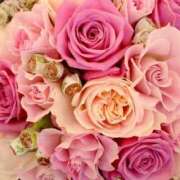 ヒメ日記 2025/03/18 19:49 投稿 高崎きょうこ 愛の雫～性格美人～