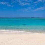 ヒメ日記 2025/04/01 20:59 投稿 高崎きょうこ 愛の雫～性格美人～