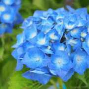 ヒメ日記 2025/06/14 19:59 投稿 高崎きょうこ 愛の雫～性格美人～