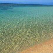 ヒメ日記 2026/03/19 21:59 投稿 高崎きょうこ 愛の雫～性格美人～