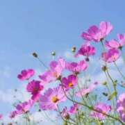 ヒメ日記 2026/10/03 19:33 投稿 高崎きょうこ 愛の雫～性格美人～