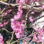 ヒメ日記 2026/03/13 15:19 投稿 生田　那奈 愛の雫～性格美人～