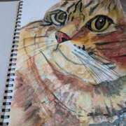 ヒメ日記 2025/04/14 19:39 投稿 相沢まい 愛の雫～性格美人～