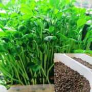 ヒメ日記 2025/05/01 16:49 投稿 相沢まい 愛の雫～性格美人～