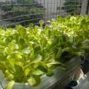 ヒメ日記 2025/05/19 13:29 投稿 相沢まい 愛の雫～性格美人～