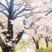 ヒメ日記 2026/04/04 15:39 投稿 相沢まい 愛の雫～性格美人～