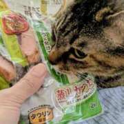 ヒメ日記 2026/05/24 10:13 投稿 相沢まい 愛の雫～性格美人～