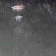 ヒメ日記 2026/01/08 16:29 投稿 戸川　ひかる 愛の雫～性格美人～