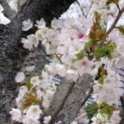 ヒメ日記 2025/04/01 14:35 投稿 みこ 待ちナビ