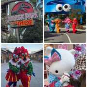 ヒメ日記 2024/12/21 04:24 投稿 みわ 神戸3040（神戸サーティフォーティ）