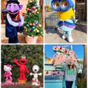 ヒメ日記 2024/12/27 04:04 投稿 みわ 神戸3040（神戸サーティフォーティ）