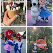 ヒメ日記 2025/01/11 04:04 投稿 みわ 神戸3040（神戸サーティフォーティ）