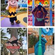 ヒメ日記 2025/01/20 04:24 投稿 みわ 神戸3040（神戸サーティフォーティ）