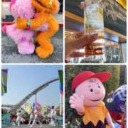 ヒメ日記 2025/01/30 04:04 投稿 みわ 神戸3040（神戸サーティフォーティ）