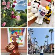 ヒメ日記 2025/05/15 04:24 投稿 みわ 神戸3040（神戸サーティフォーティ）