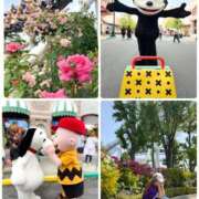 ヒメ日記 2025/06/01 04:24 投稿 みわ 神戸3040（神戸サーティフォーティ）