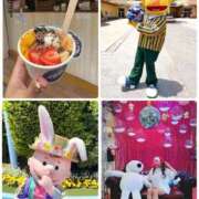 ヒメ日記 2025/06/05 04:24 投稿 みわ 神戸3040（神戸サーティフォーティ）