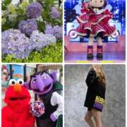 ヒメ日記 2025/06/17 08:24 投稿 みわ 神戸3040（神戸サーティフォーティ）