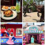 ヒメ日記 2025/06/22 04:24 投稿 みわ 神戸3040（神戸サーティフォーティ）