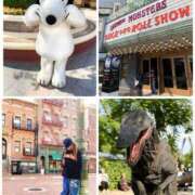 ヒメ日記 2025/11/17 07:24 投稿 みわ 神戸3040（神戸サーティフォーティ）