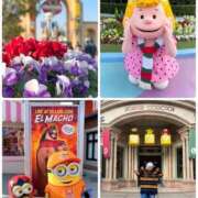 ヒメ日記 2025/12/02 07:55 投稿 みわ 神戸3040（神戸サーティフォーティ）