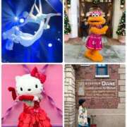 ヒメ日記 2025/12/15 07:54 投稿 みわ 神戸3040（神戸サーティフォーティ）