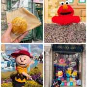 ヒメ日記 2026/02/04 07:54 投稿 みわ 神戸3040（神戸サーティフォーティ）